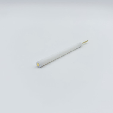 Gold Disk Electrode Straight Type PTFE Rod  φ2mm